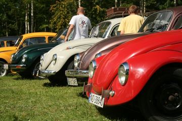 Zdjęcie 190