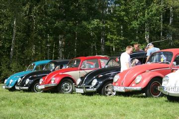Zdjęcie 198