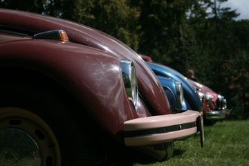 Zdjęcie 200