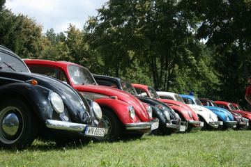 Zdjęcie 203
