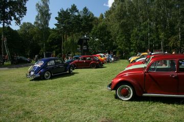 Zdjęcie 206