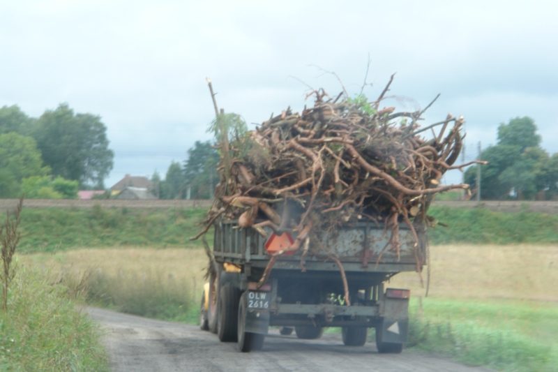 Łęgucki Młyn – zdjęcie 43