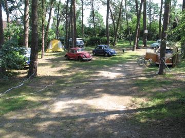 Zdjęcie 116