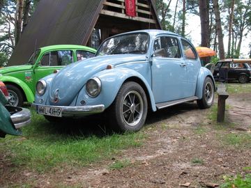 Zdjęcie 41