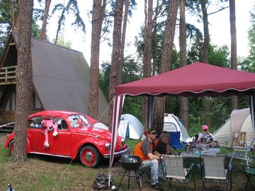 Zdjęcie 42