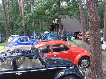 Zdjęcie 49