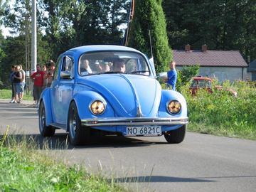 Zdjęcie 81