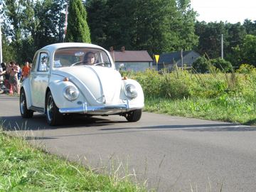 Zdjęcie 82