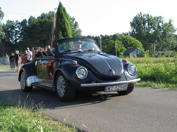 Zdjęcie 89