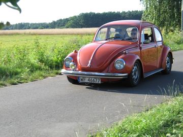 Zdjęcie 92