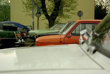 Zdjęcie 31