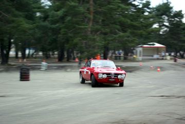 Zdjęcie 108
