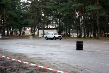 Zdjęcie 131