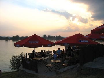 Zdjęcie 113