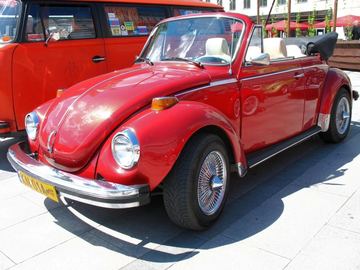 Zdjęcie 176