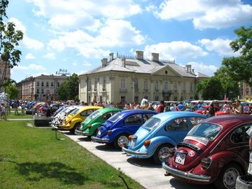 Zdjęcie 194
