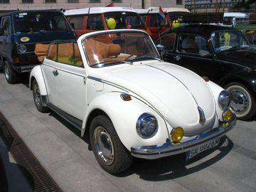 Zdjęcie 214