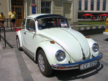 Zdjęcie 216