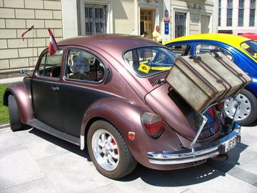 Zdjęcie 217