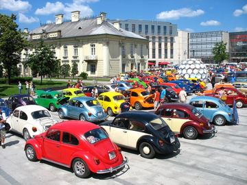 Zdjęcie 219