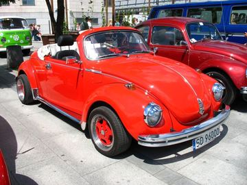 Zdjęcie 226