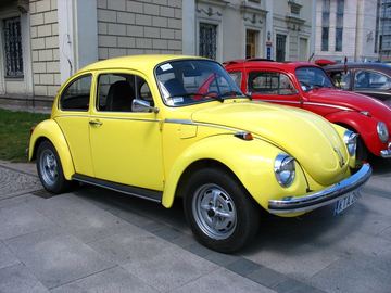 Zdjęcie 227