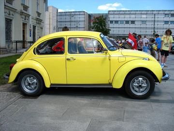 Zdjęcie 228