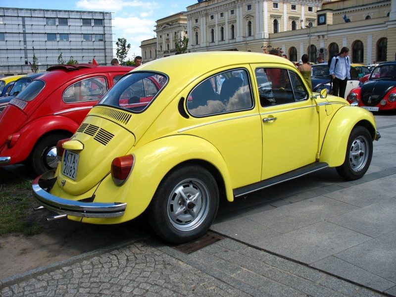 Autor zdjęć: Jarosław Narewski, Bakter – zdjęcie 229