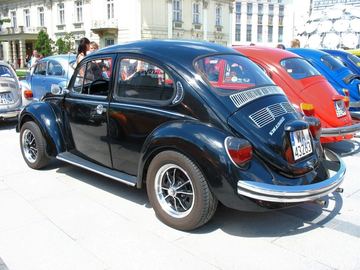 Zdjęcie 232
