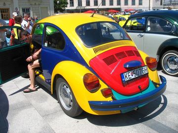 Zdjęcie 234