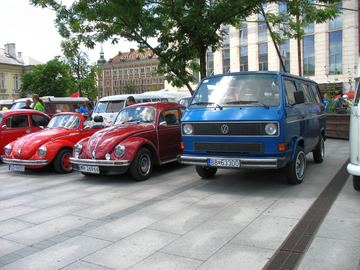 Zdjęcie 239
