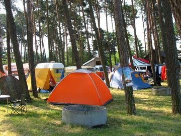 Zdjęcie 45
