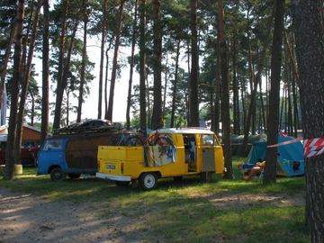Zdjęcie 49