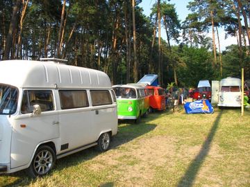 Zdjęcie 87