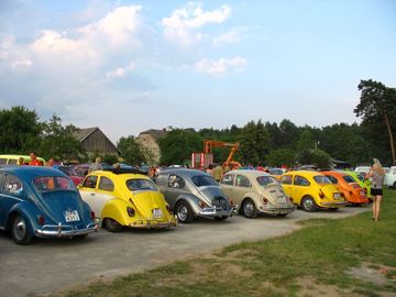 Zdjęcie 95
