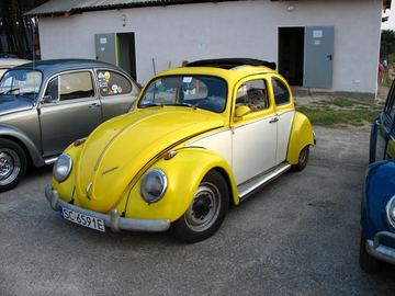 Zdjęcie 97