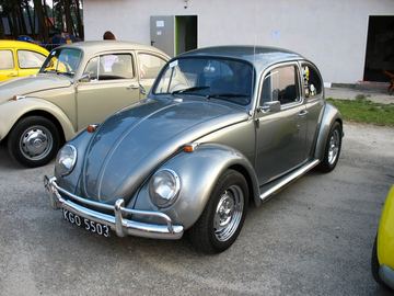Zdjęcie 98