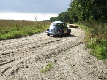 Zdjęcie 25