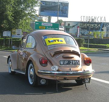 Zdjęcie 19
