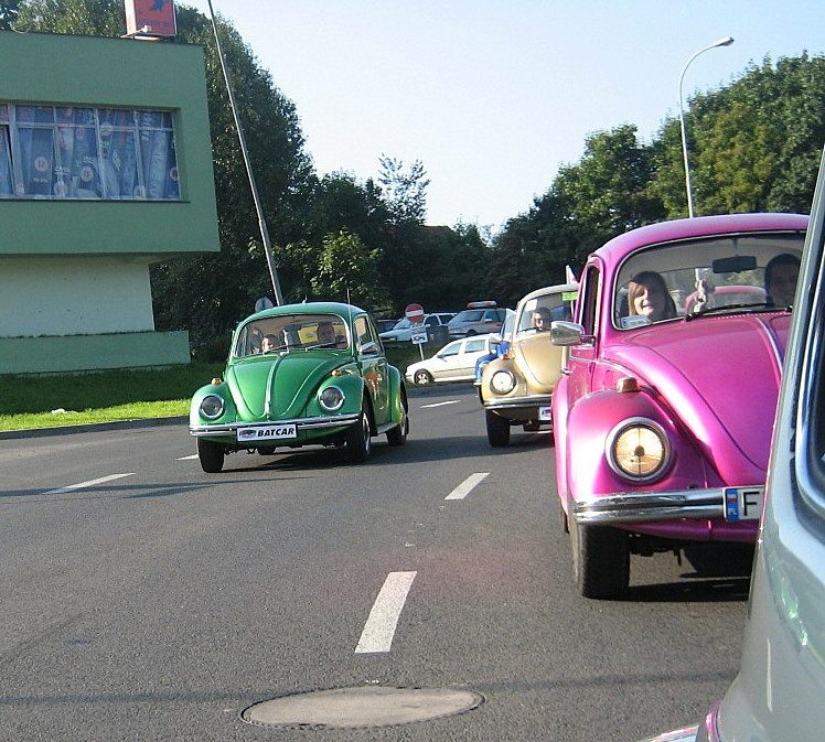 Autorzy zdjęć: loona i lechu – zdjęcie 20