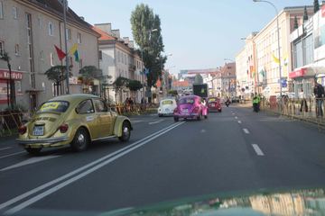 Zdjęcie 203