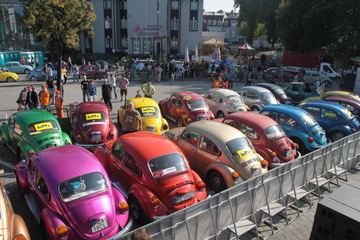 Zdjęcie 206