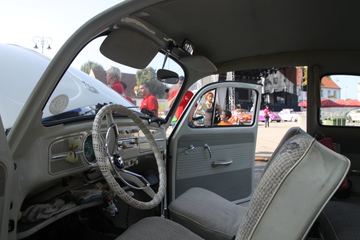 Zdjęcie 227