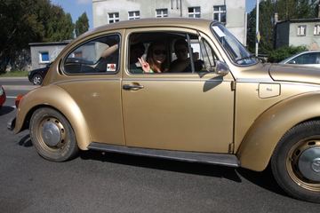 Zdjęcie 230