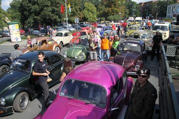 Zdjęcie 233