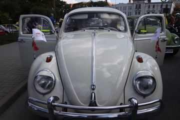 Zdjęcie 237