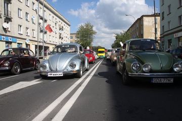 Zdjęcie 245