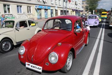 Zdjęcie 247