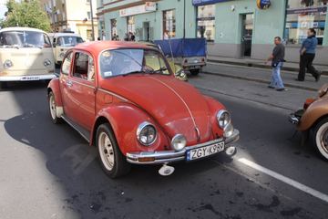 Zdjęcie 248