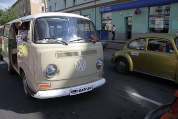 Zdjęcie 250